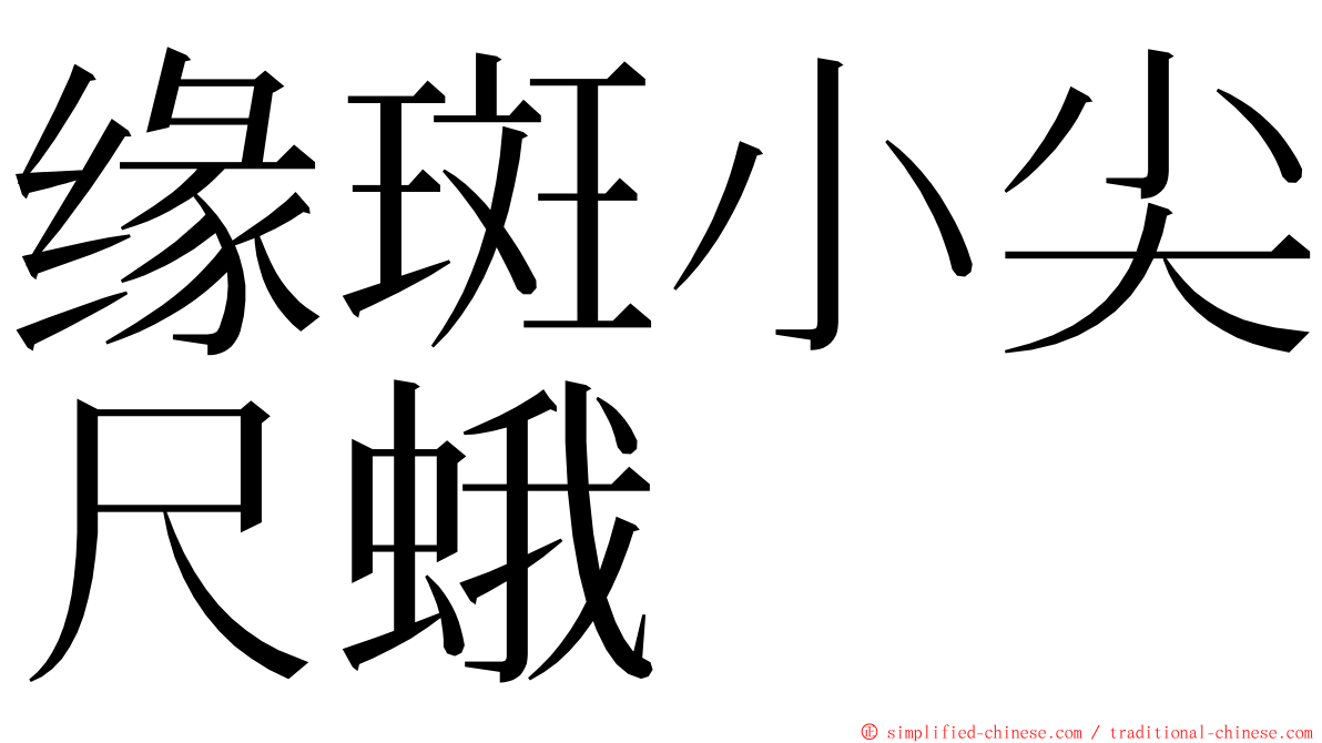 缘斑小尖尺蛾 ming font