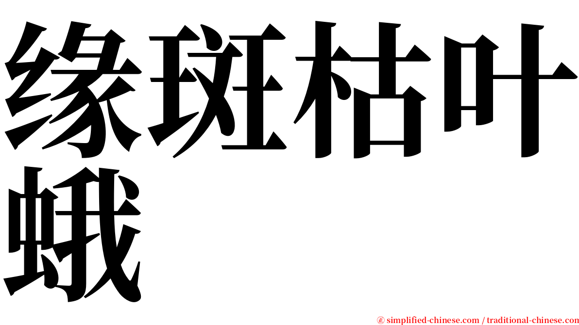 缘斑枯叶蛾 serif font