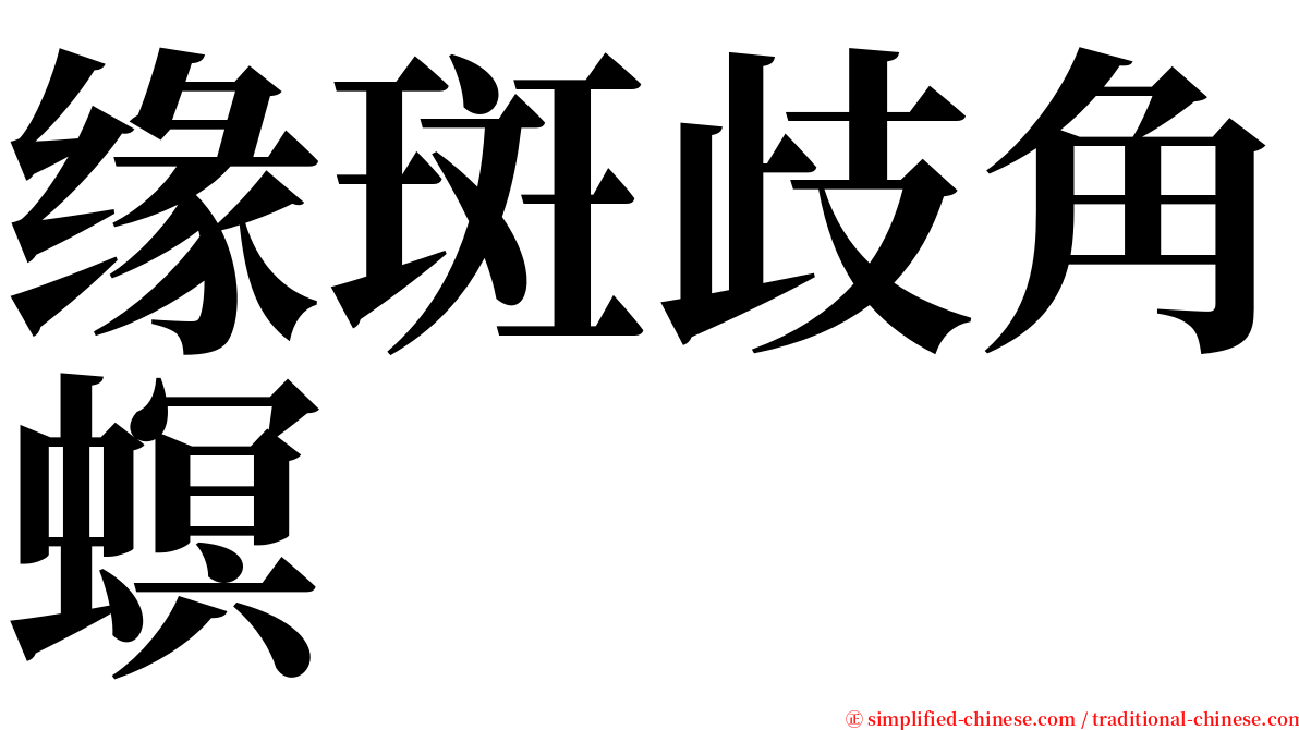 缘斑歧角螟 serif font