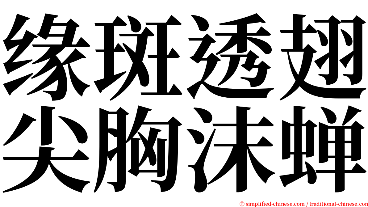 缘斑透翅尖胸沫蝉 serif font