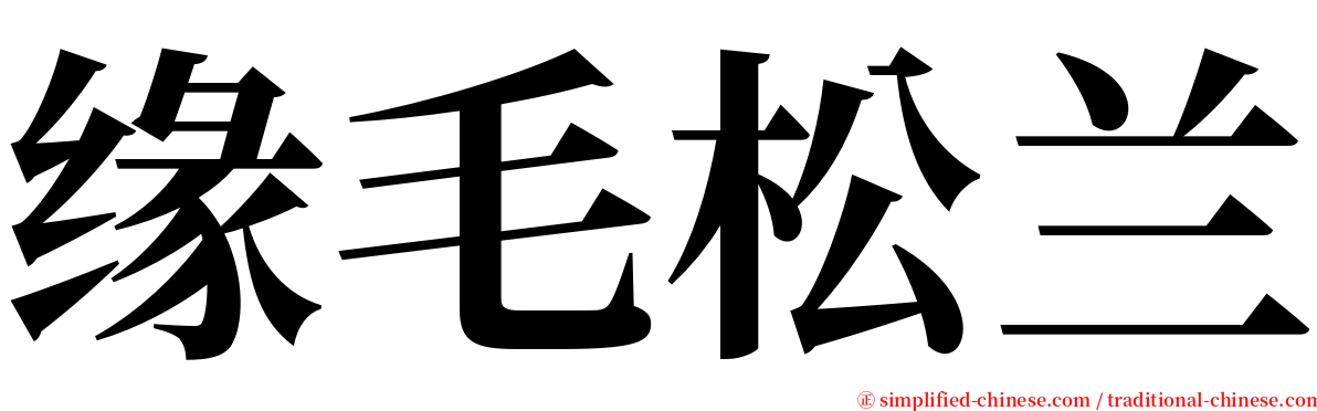 缘毛松兰 serif font