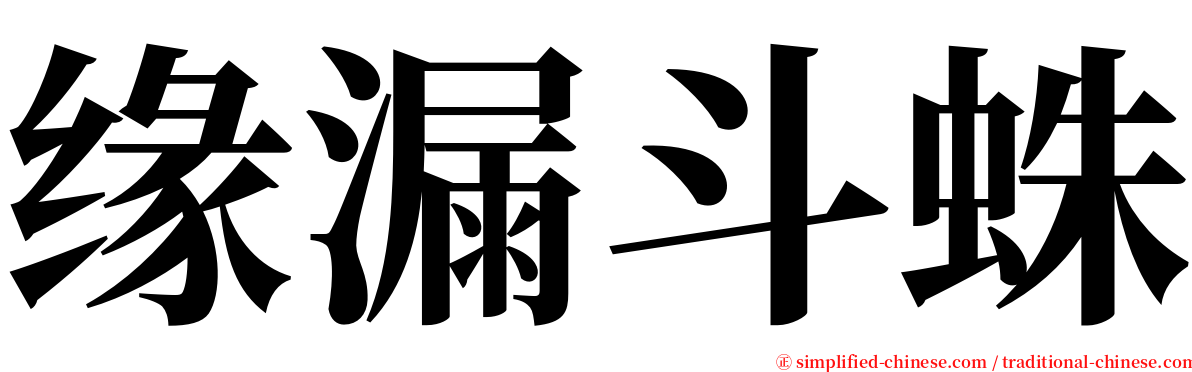 缘漏斗蛛 serif font