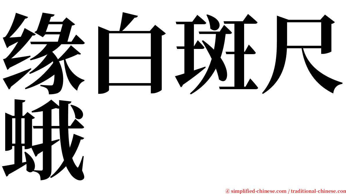 缘白斑尺蛾 serif font