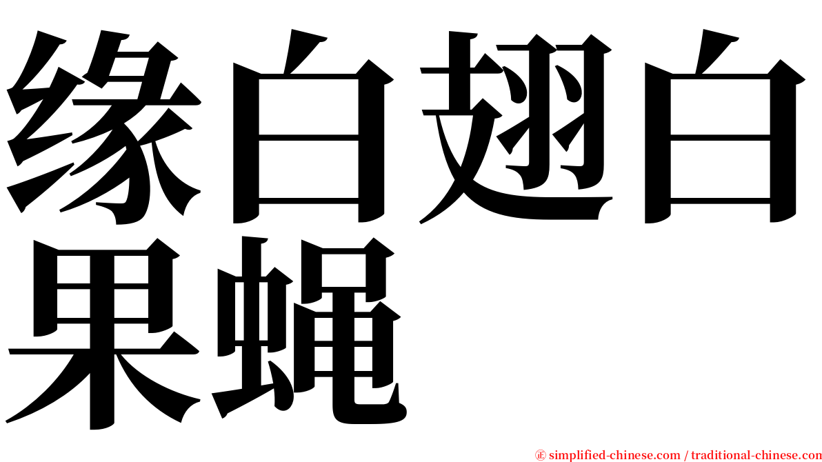 缘白翅白果蝇 serif font