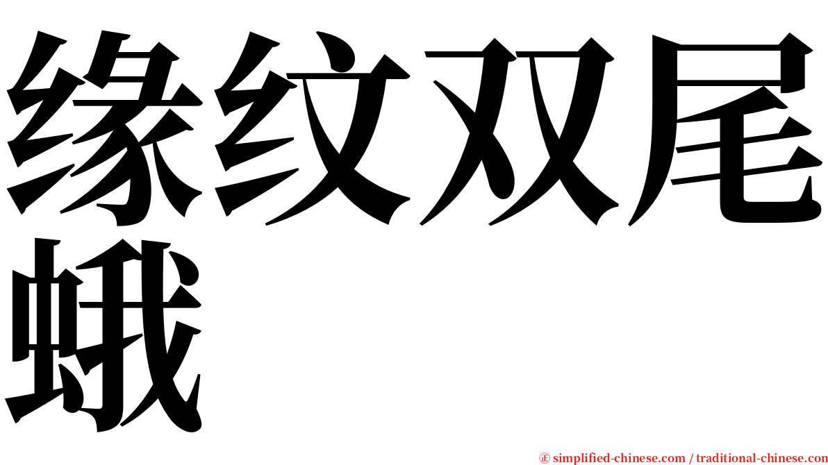 缘纹双尾蛾 serif font