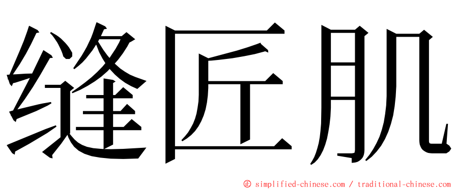 缝匠肌 ming font