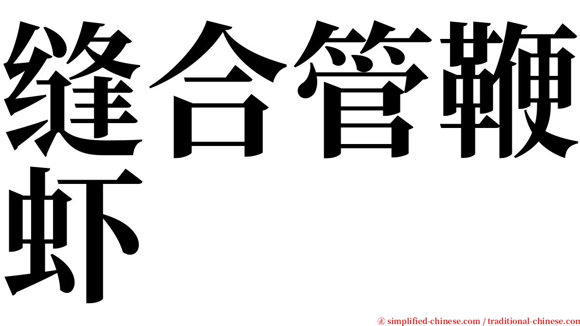 缝合管鞭虾 serif font