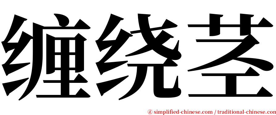 缠绕茎 serif font