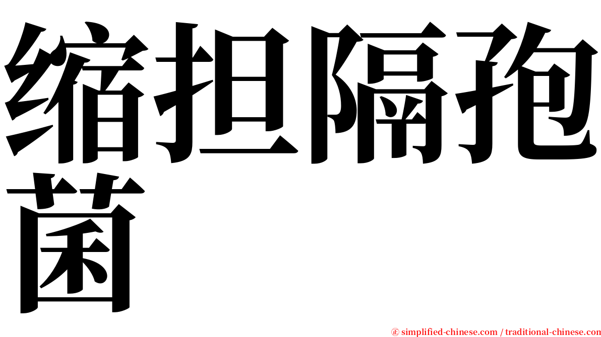 缩担隔孢菌 serif font