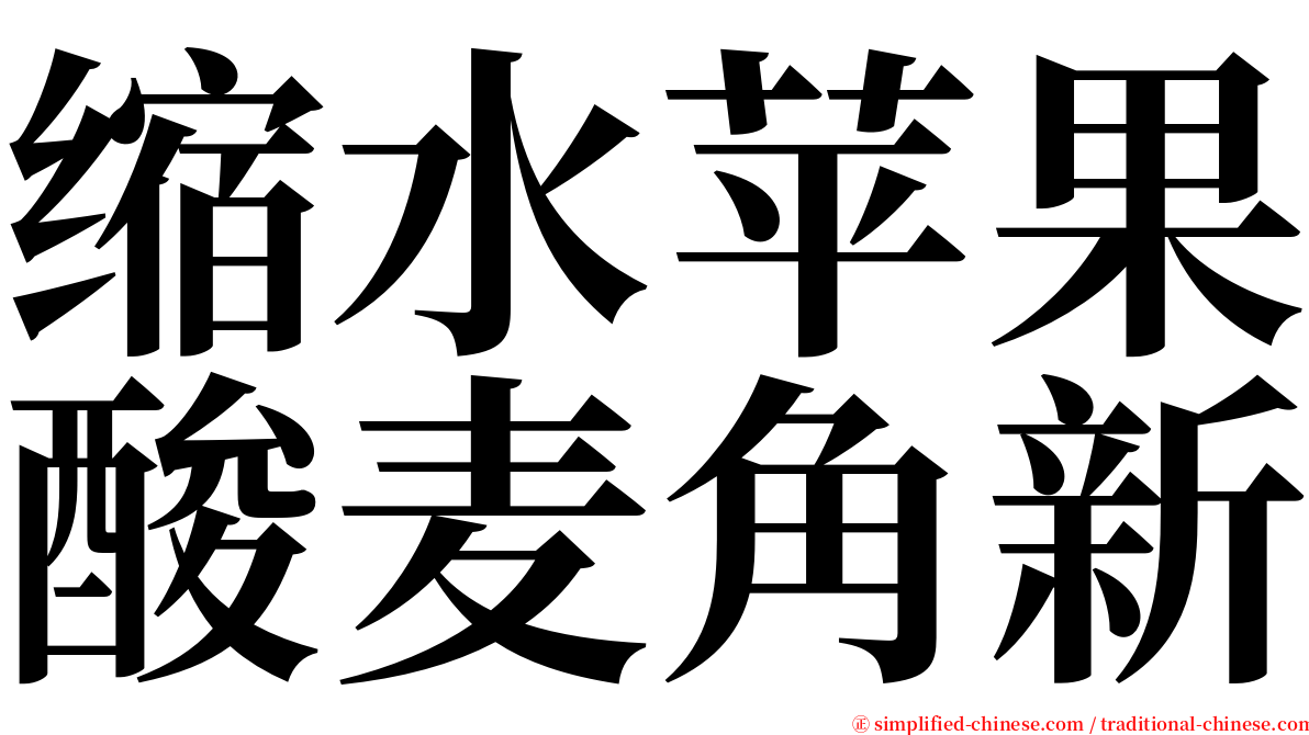 缩水苹果酸麦角新 serif font