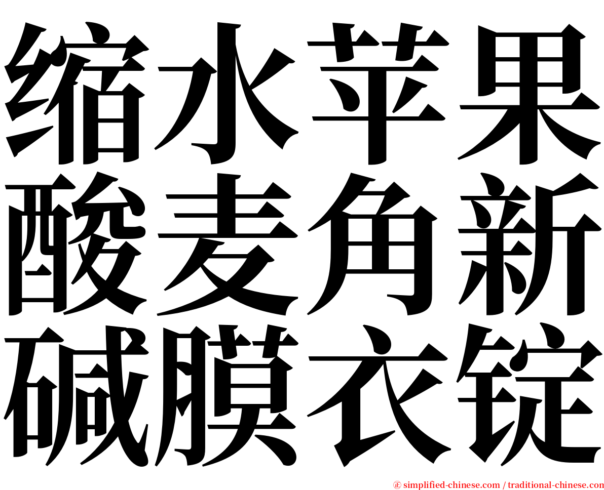 缩水苹果酸麦角新碱膜衣锭 serif font