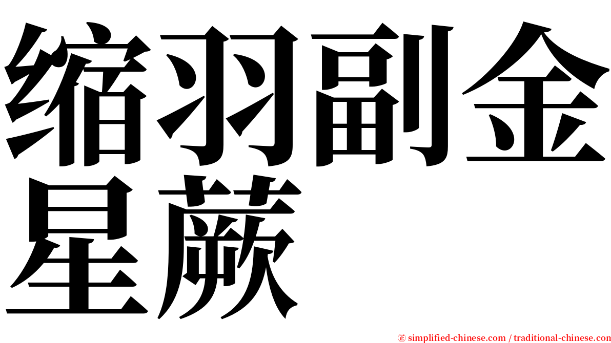 缩羽副金星蕨 serif font