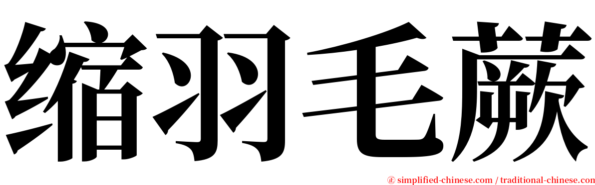 缩羽毛蕨 serif font