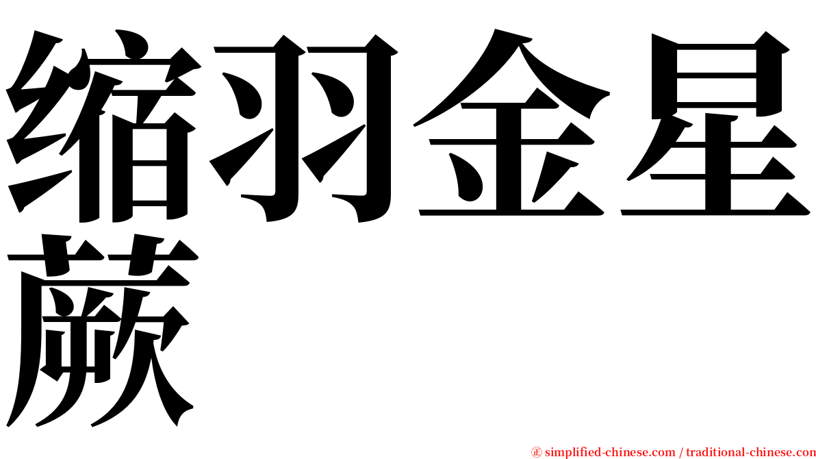 缩羽金星蕨 serif font