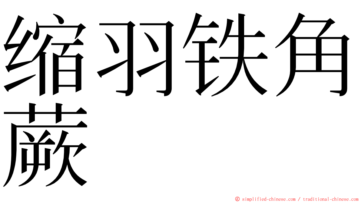 缩羽铁角蕨 ming font