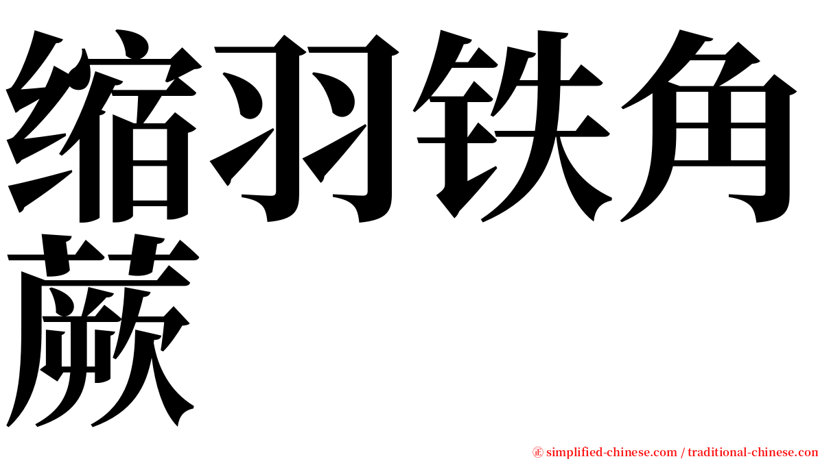 缩羽铁角蕨 serif font