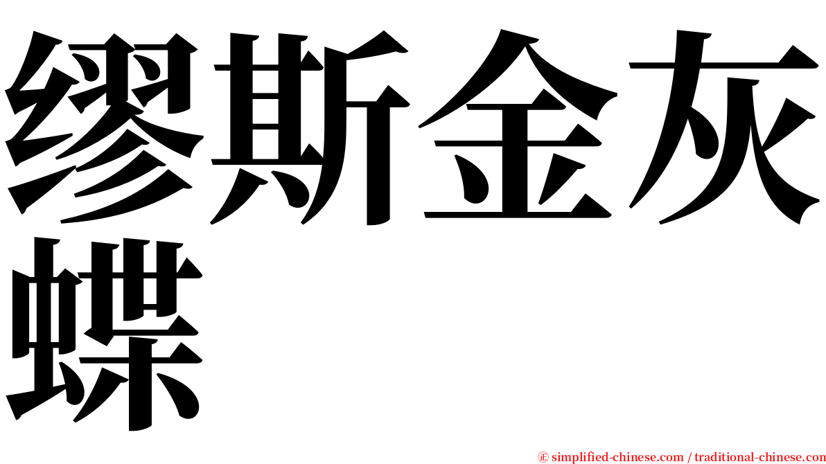 缪斯金灰蝶 serif font