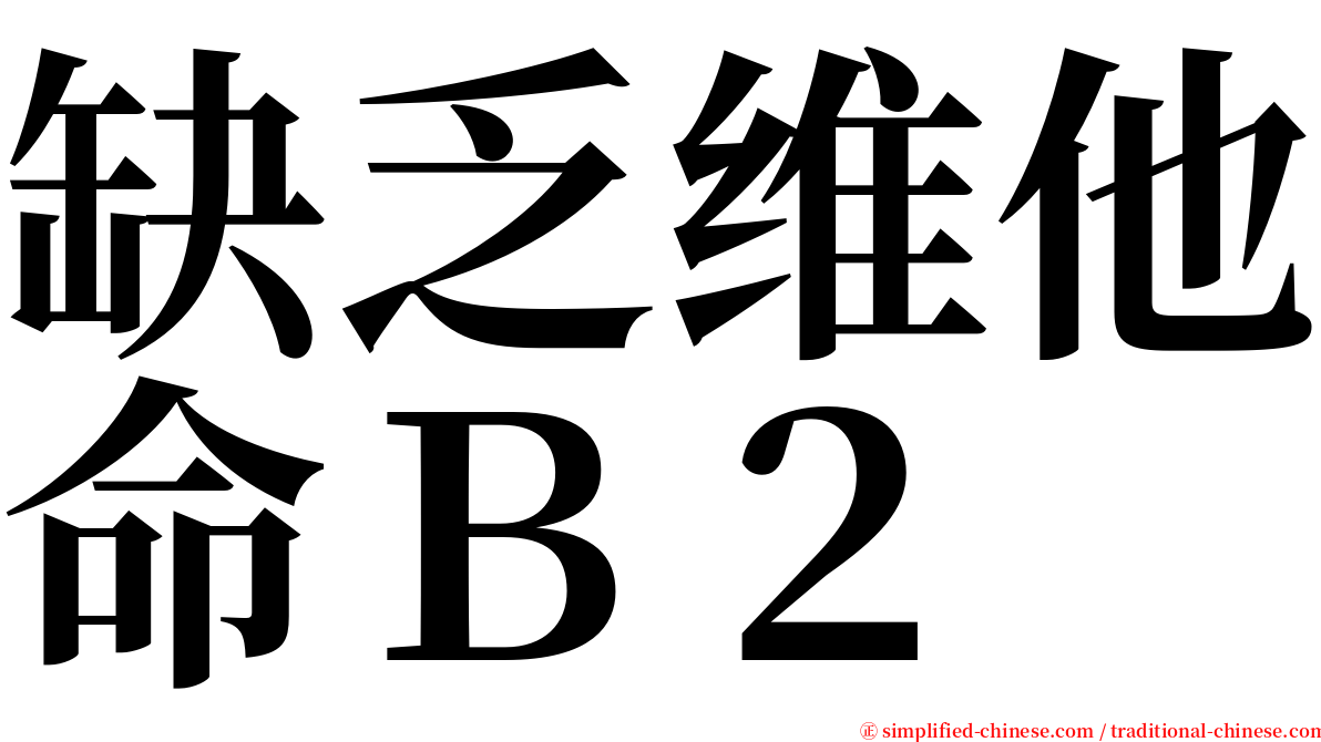 缺乏维他命Ｂ２ serif font