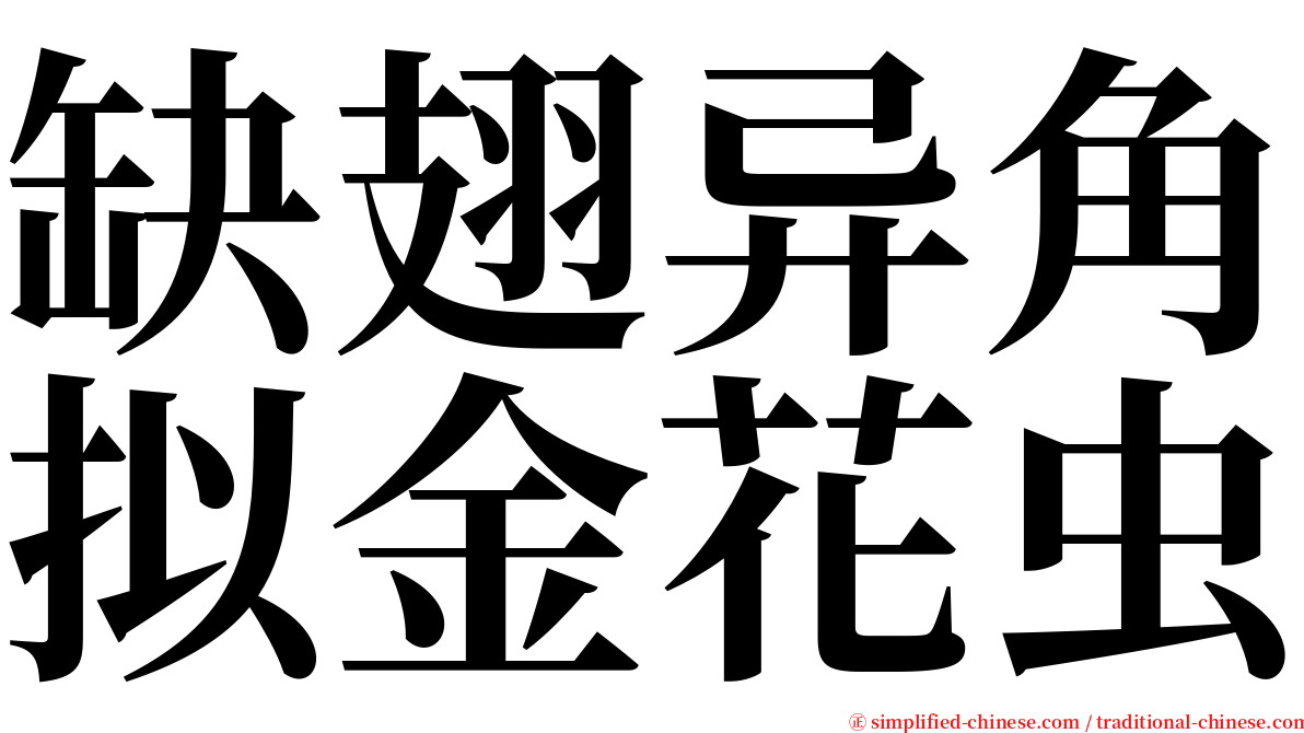 缺翅异角拟金花虫 serif font