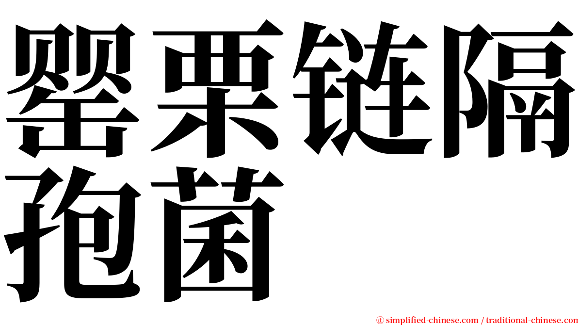 罂栗链隔孢菌 serif font