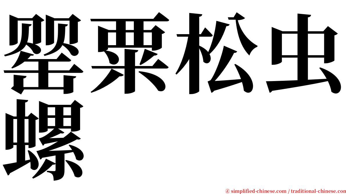 罂粟松虫螺 serif font