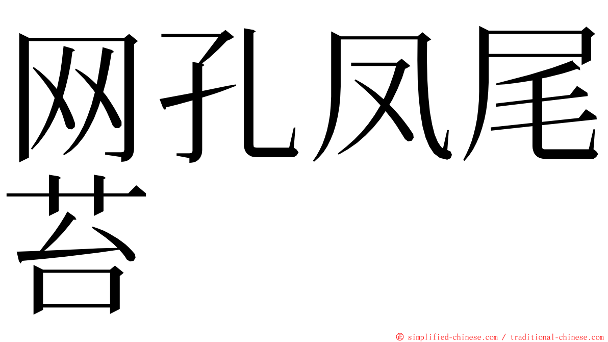 网孔凤尾苔 ming font