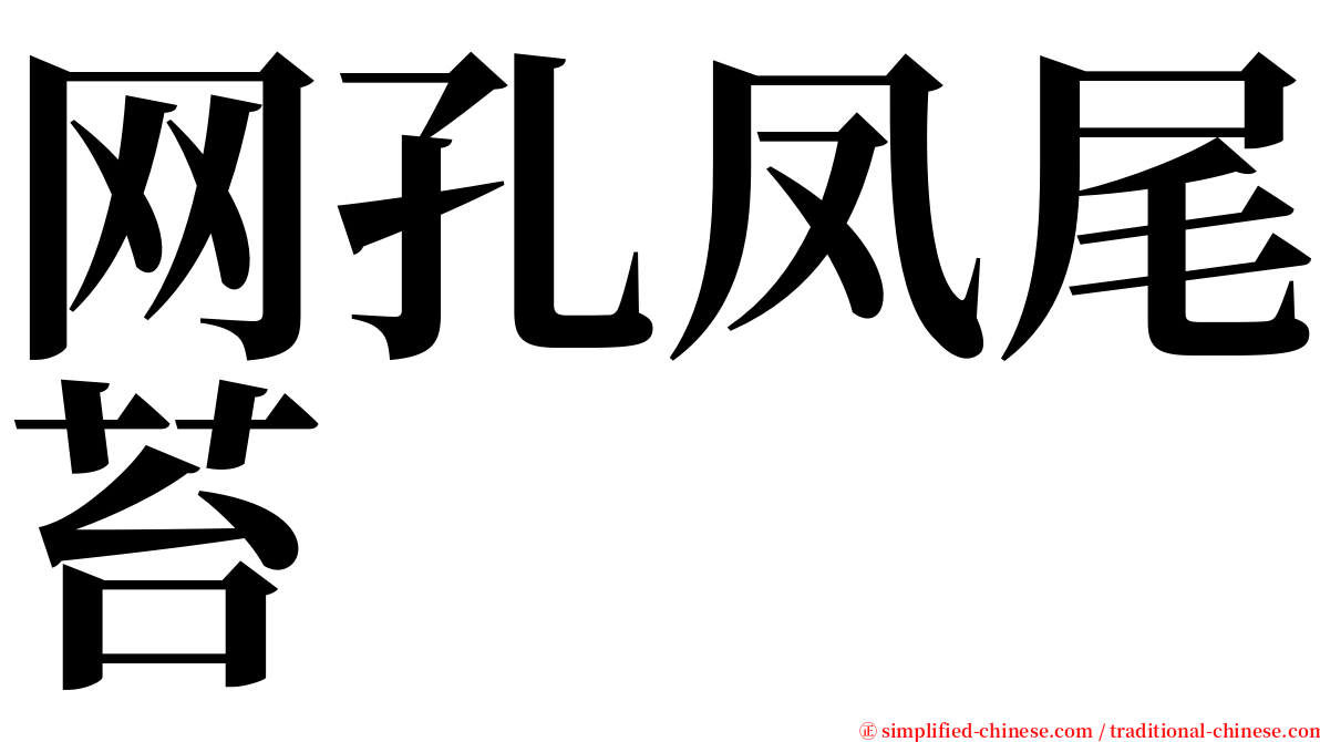 网孔凤尾苔 serif font