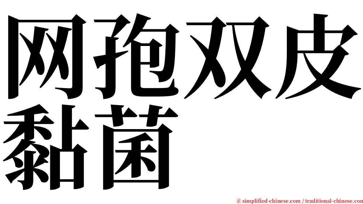 网孢双皮黏菌 serif font