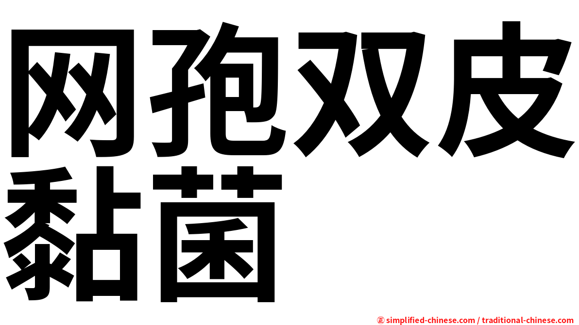 网孢双皮黏菌