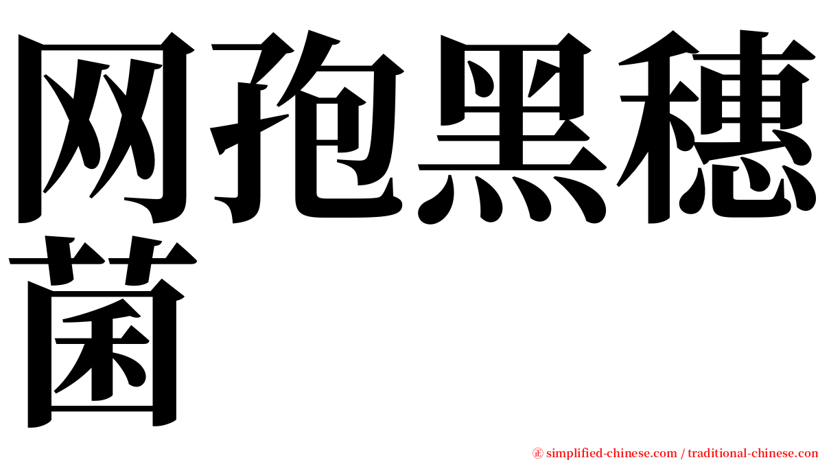 网孢黑穗菌 serif font