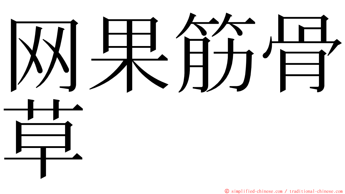 网果筋骨草 ming font