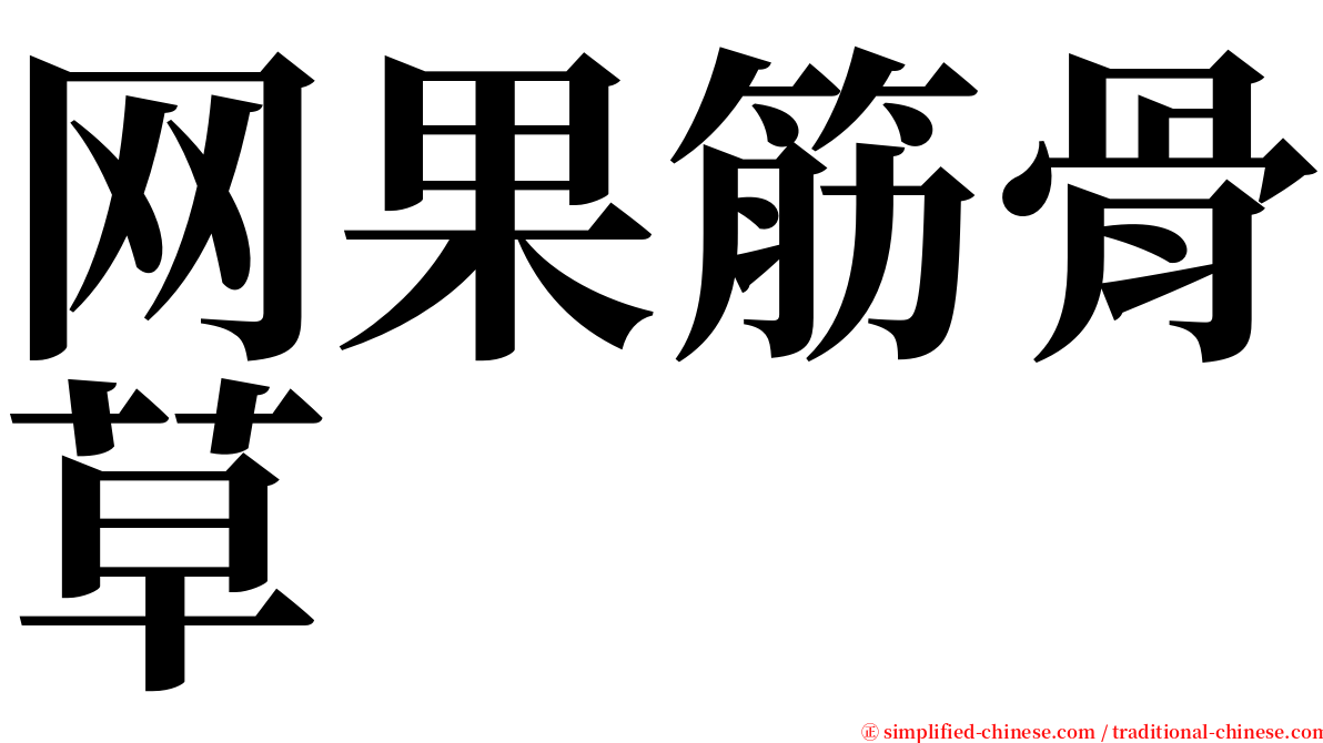 网果筋骨草 serif font