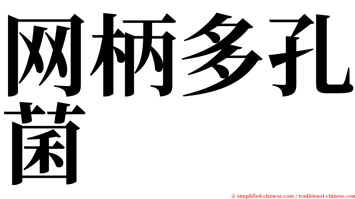网柄多孔菌 serif font