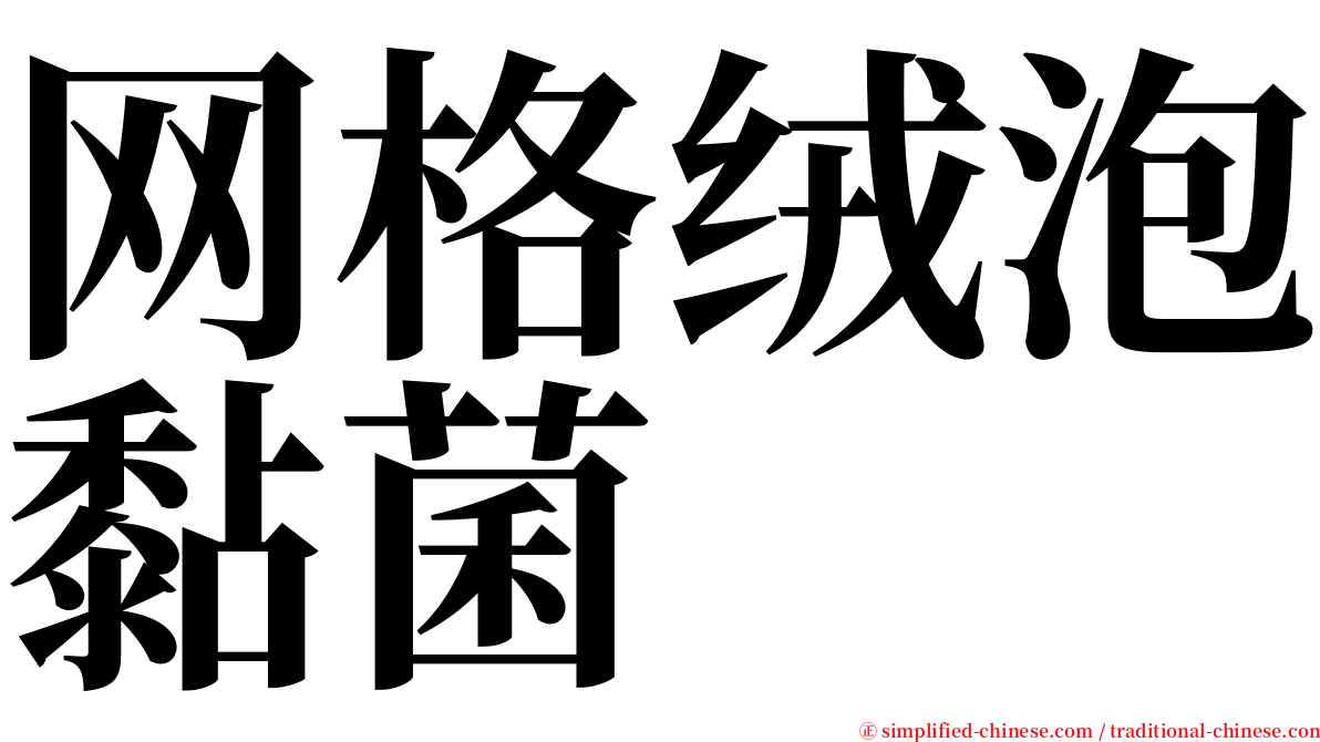 网格绒泡黏菌 serif font