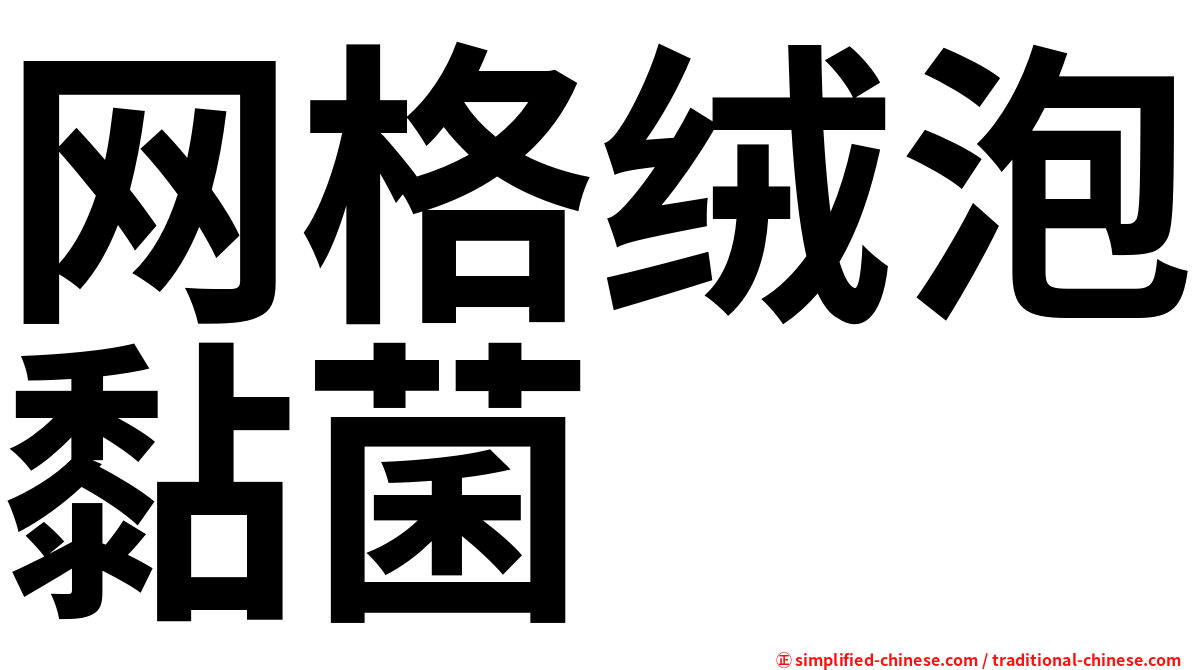 网格绒泡黏菌