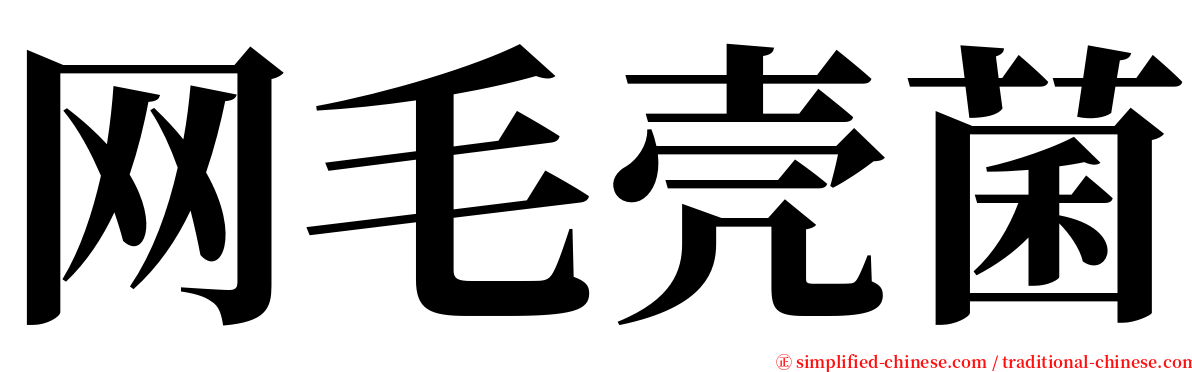 网毛壳菌 serif font