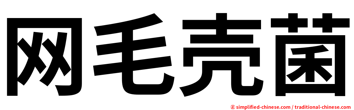 网毛壳菌