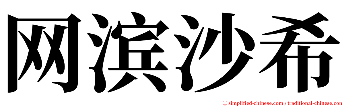 网滨沙希 serif font