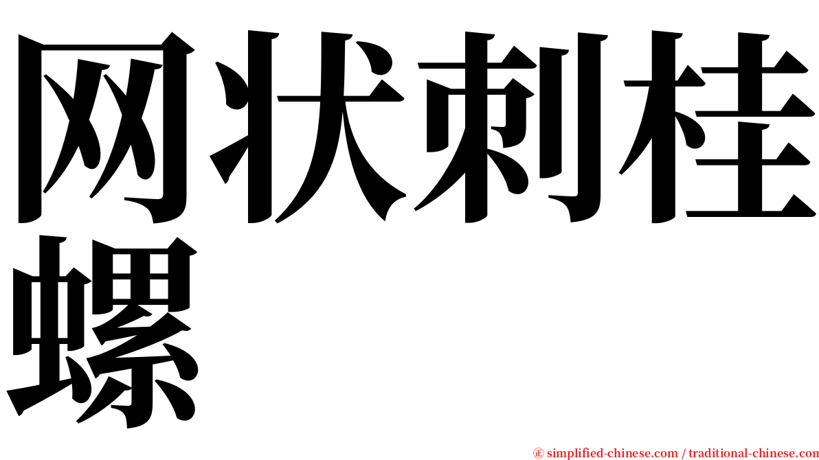 网状刺桂螺 serif font