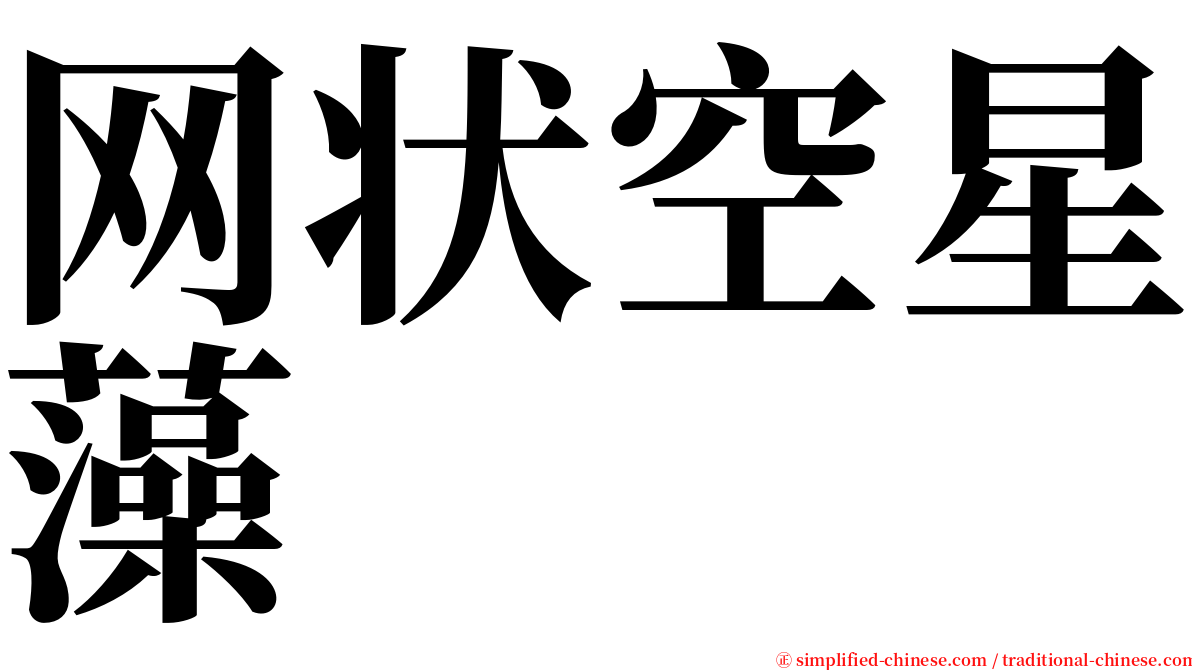 网状空星藻 serif font