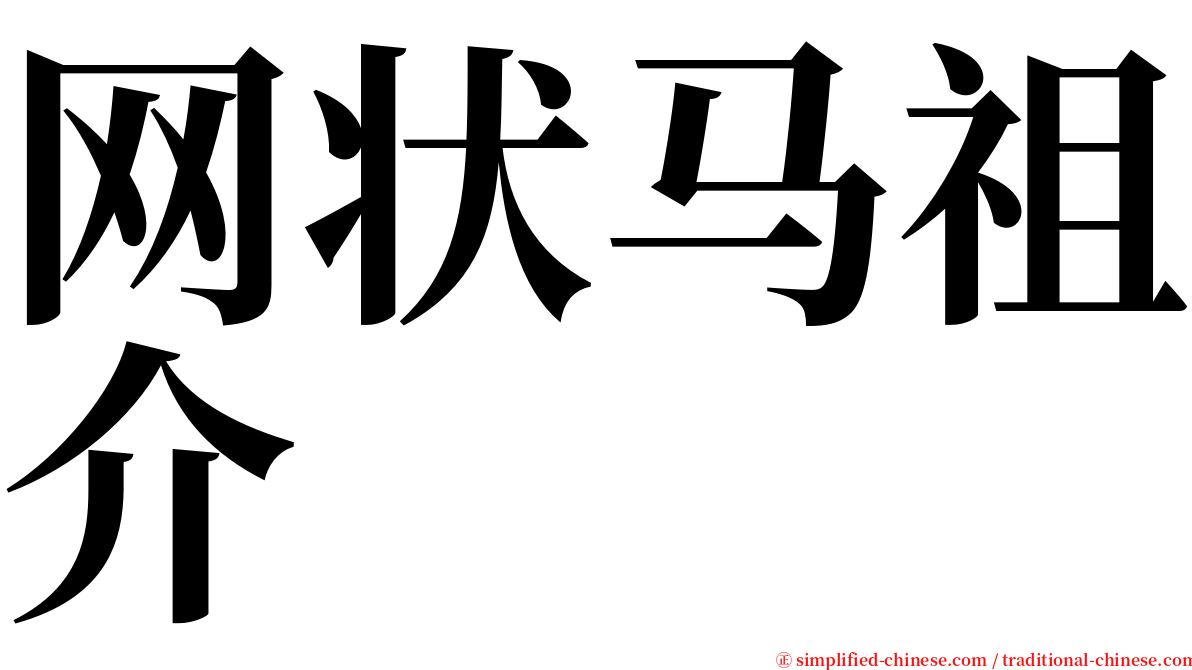 网状马祖介 serif font