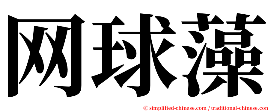 网球藻 serif font