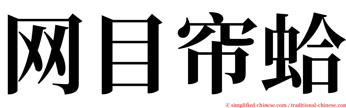 网目帘蛤 serif font