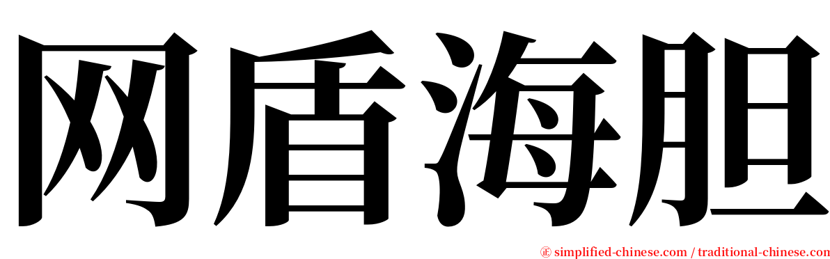 网盾海胆 serif font