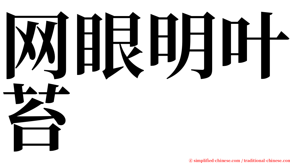 网眼明叶苔 serif font