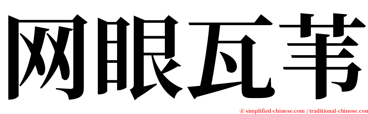 网眼瓦苇 serif font