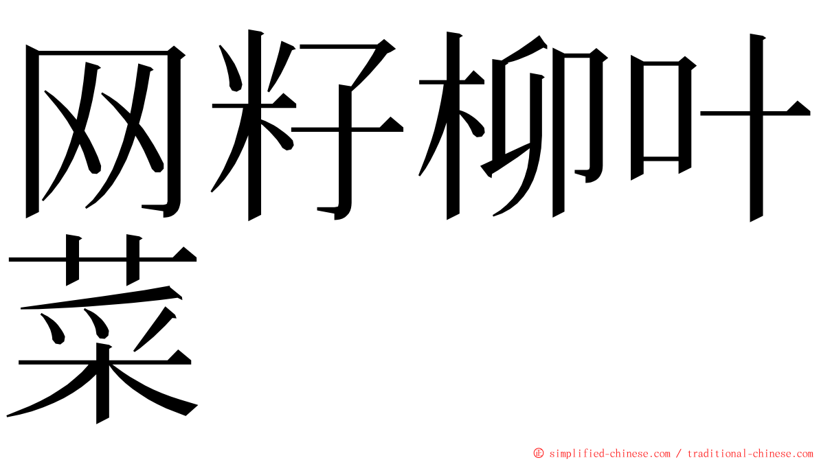 网籽柳叶菜 ming font