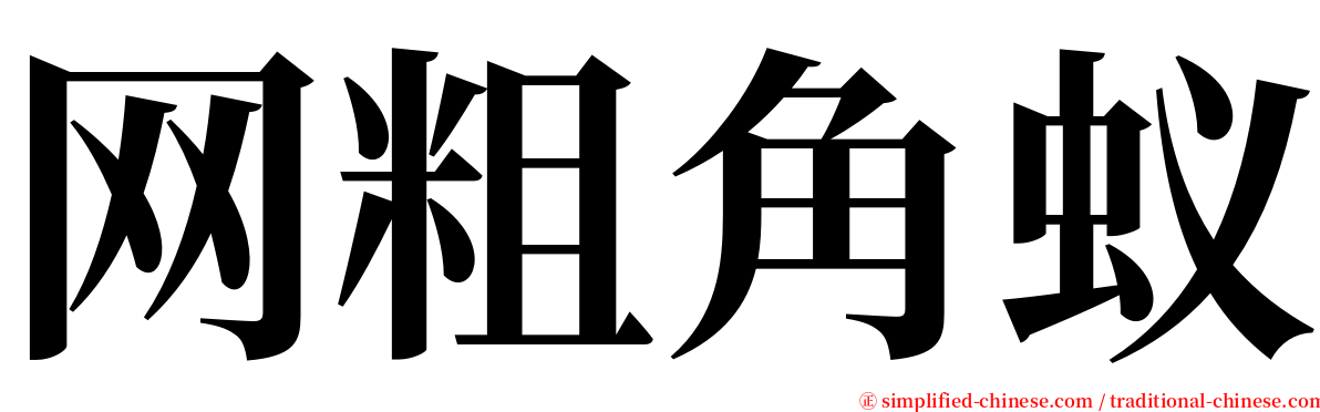 网粗角蚁 serif font