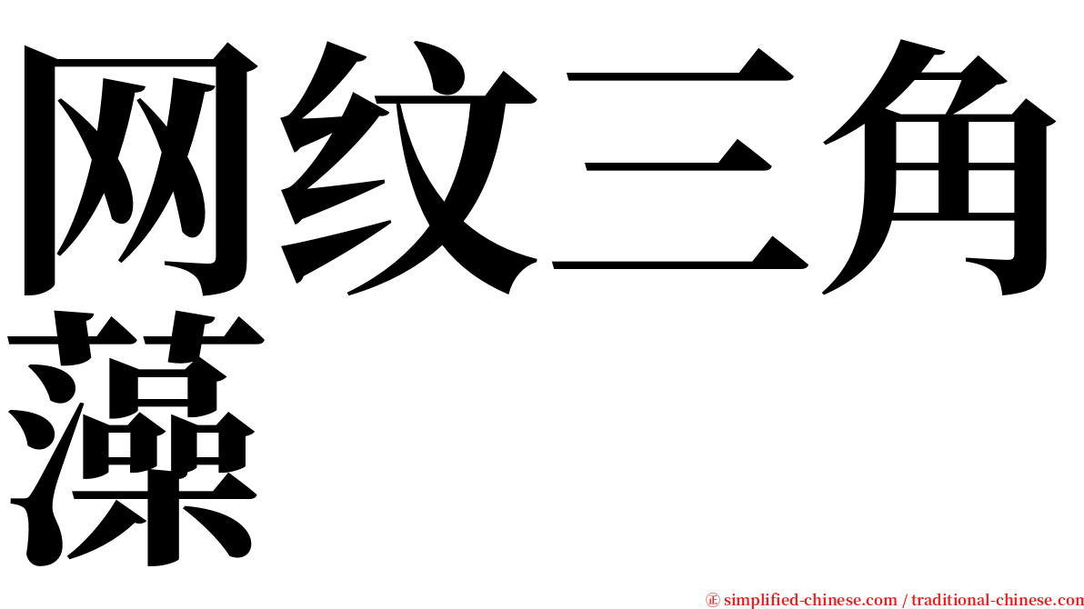 网纹三角藻 serif font