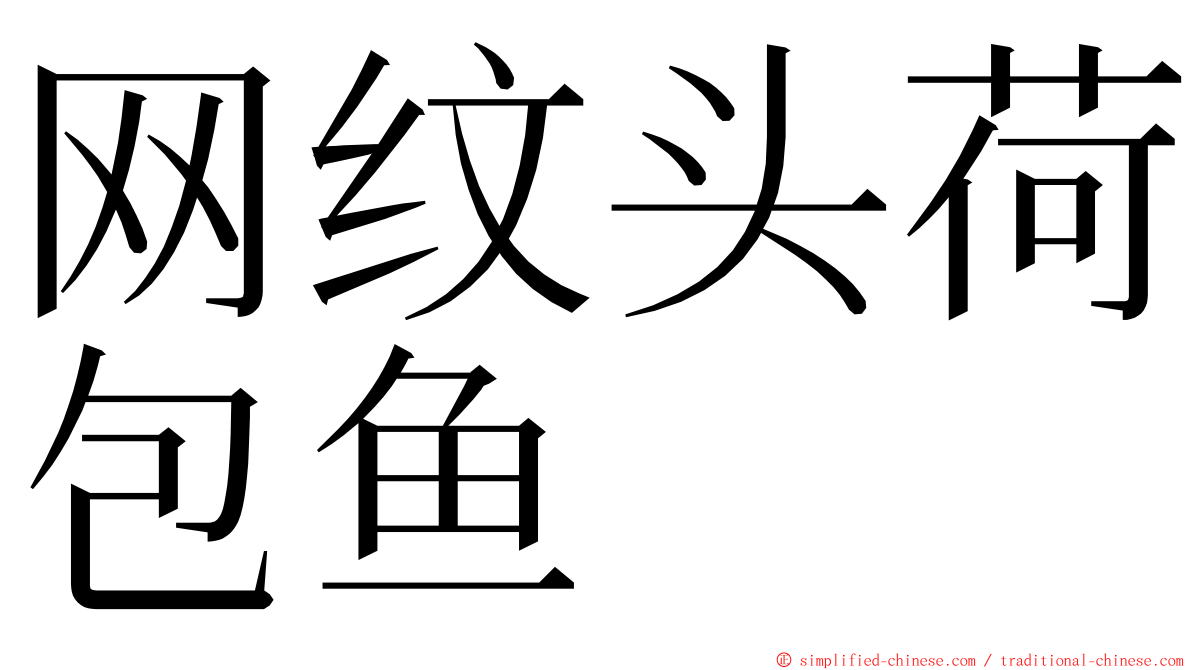 网纹头荷包鱼 ming font